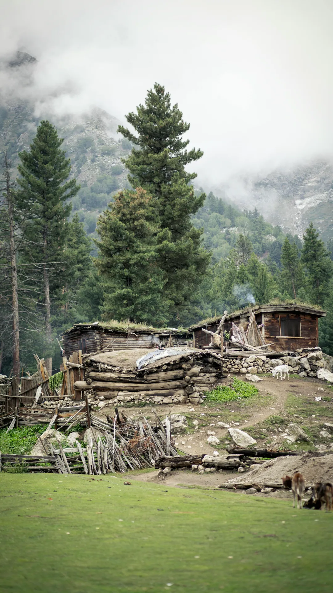 Lachung Monastery